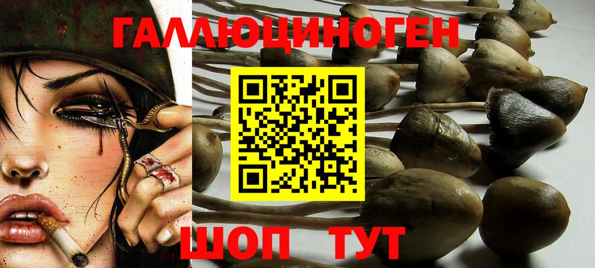 Псилоцибиновые грибы мицелий  Вход с VPN  Дзержинский 