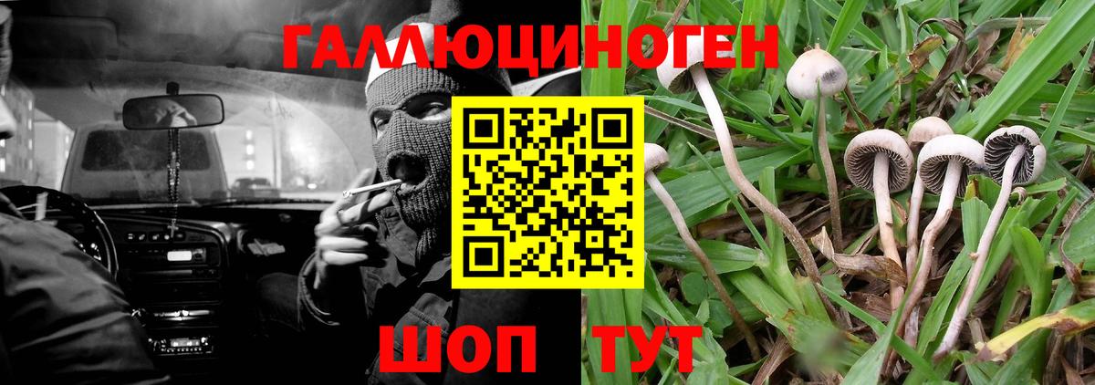 Дзержинский  Меф кристаллы  Вход с VPN  ГАШ  Конопля  Наркошоп  Гашиш  КОКАИН 