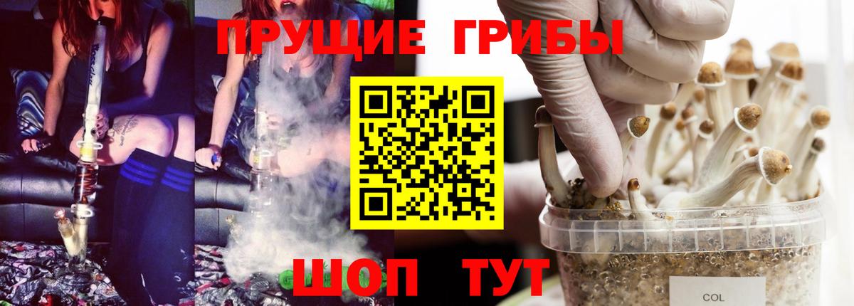 Псилоцибиновые грибы прущие грибы Дзержинский